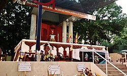 Celebracion San Sebastian 2017 (7)